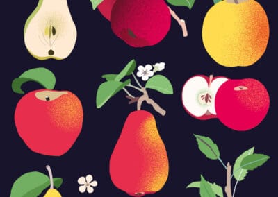 Apples and Pears