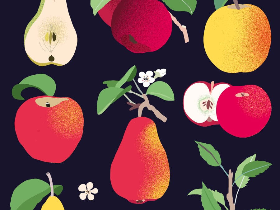 Apples and Pears