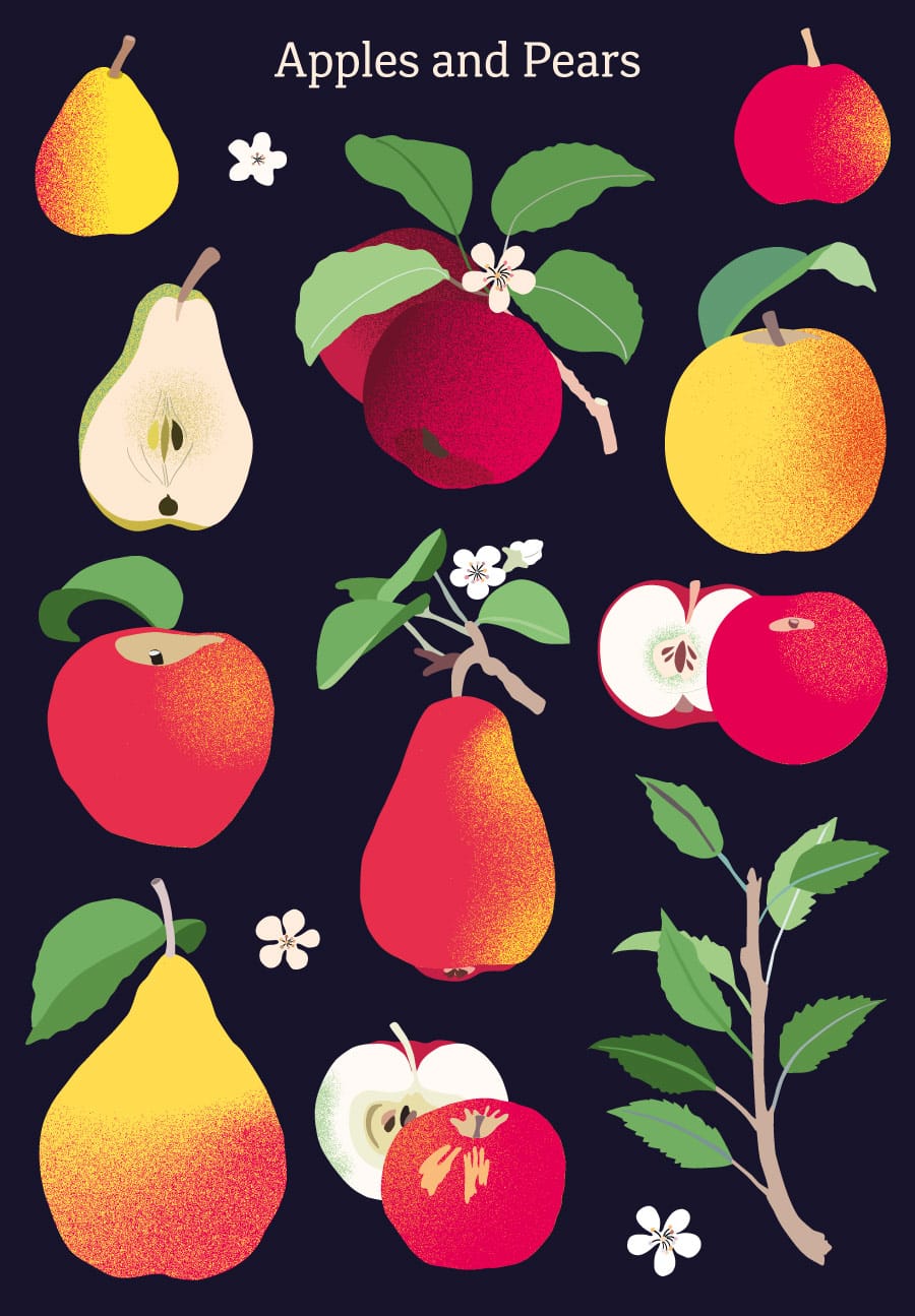 Apples & Pears pop illustrations - grain effect