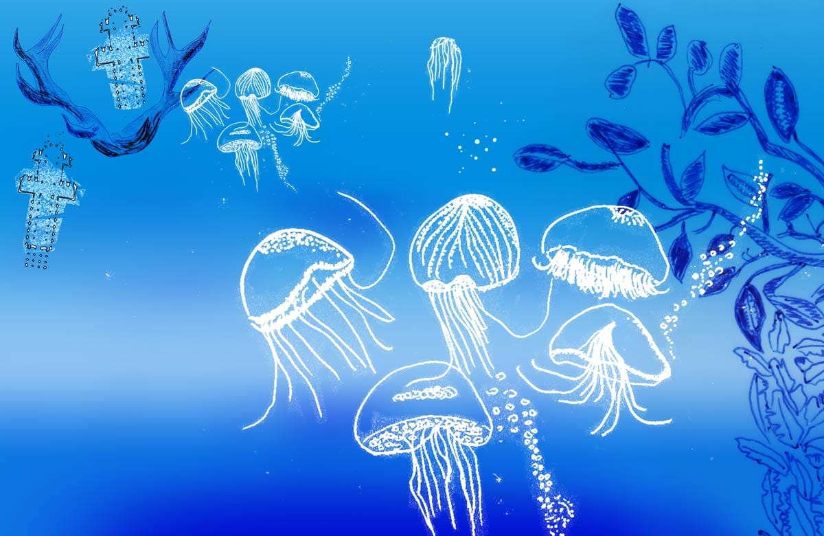 meduses, lLe monde sous-marin, la mer